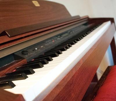 Darwin Removalist piano